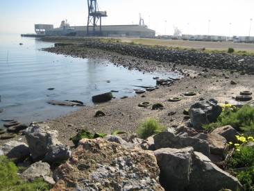 Warm Water Cove
