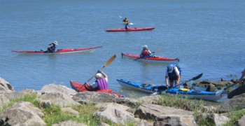 kayak